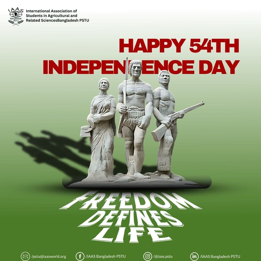 Social Media Posts Designs